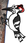 Image result for woodpecker animation gif