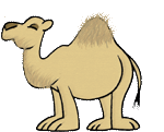 Animated Camel