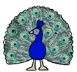Animated Peacock