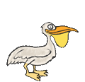 Animated Pelican