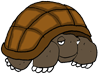 Animated Tortoise