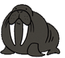 Animated Walrus